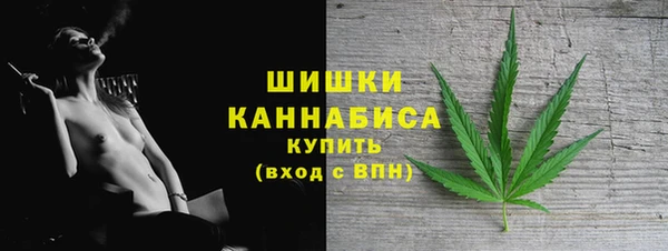 прущие грибы Бородино