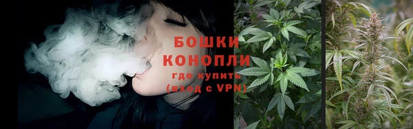 экстази Богданович