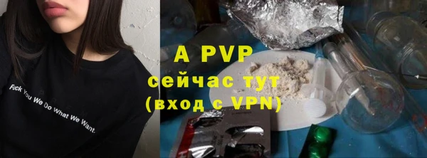 прущие грибы Бородино