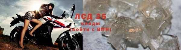 ГАЛЛЮЦИНОГЕННЫЕ ГРИБЫ Богородицк