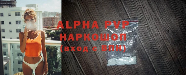 прущие грибы Бородино