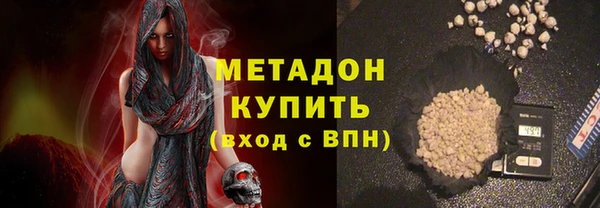 прущие грибы Бородино